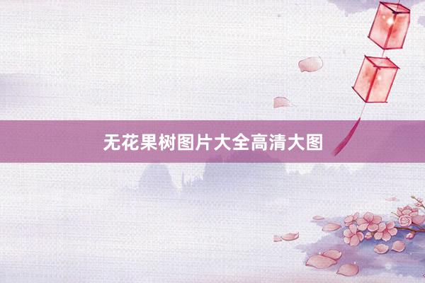 无花果树图片大全高清大图